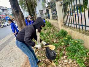 Ngày chủ nhật xanh